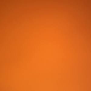 Meet your Posher, Max